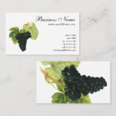  rode wijn, organisch wijndruivencluster, voedings visitekaartje (Voorkant / Achterkant)