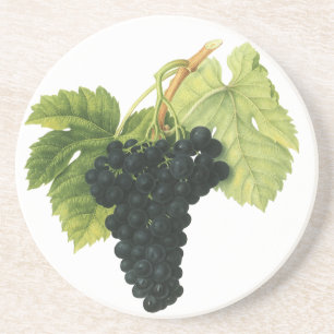 rode wijn, organisch wijndruivencluster, voedings zandsteen onderzetter