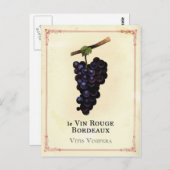 rode wijndruiven Bordeaux Briefkaart (Voorkant / Achterkant)