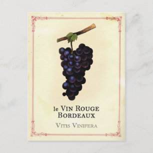 rode wijndruiven Bordeaux Briefkaart