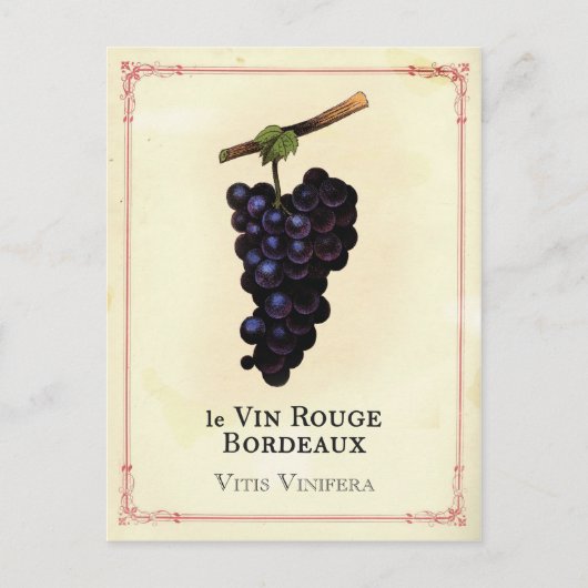 rode wijndruiven Bordeaux Briefkaart (Voorkant)