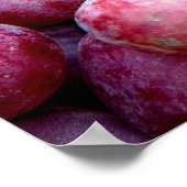 Rode wijndruiven poster (Hoek)