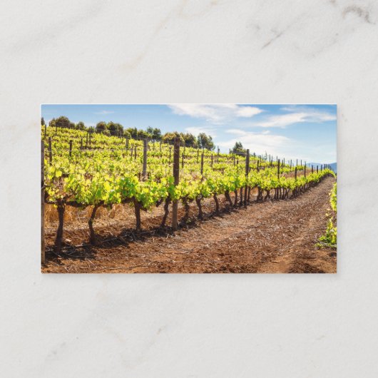 Rode wijnflessen | Wijnbouwsector Visitekaartje (Achterkant)