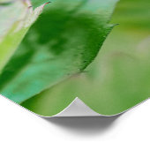 Rode wilde aardbeien groeien nog steeds in de tuin poster (Hoek)