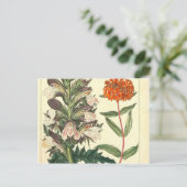 Rode Wilde Bloem Botanische Afdruk Briefkaart (Staand voorkant)