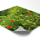 Rode wilde bloemen in zomerse weide poster (Hoek)