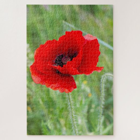 Rode wilde papaverbloem legpuzzel (Verticaal)