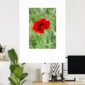 Rode wilde papaverbloem poster (Thuiskantoor)