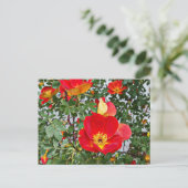 rode wilde rozen bloemen originele foto feestdagenkaart (Staand voorkant)