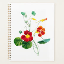 Rode Wilg II Reverie: Vintage Botanische