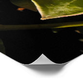 Rode winterbessen op Jersey Poster (Hoek)