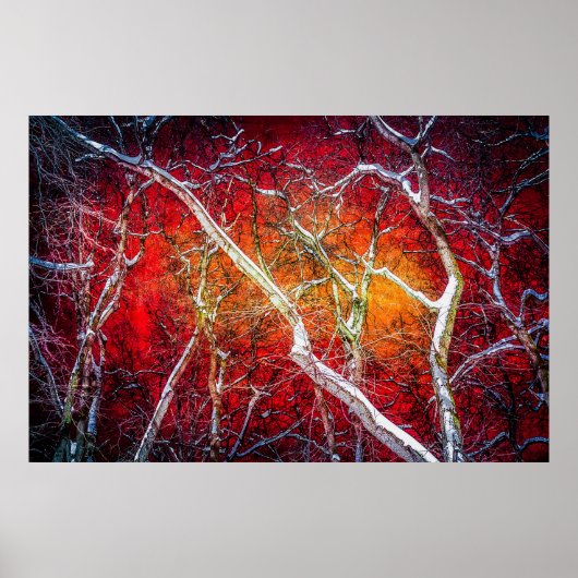 Rode winternacht poster (Voorkant)