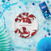 Rode witte basketballen Jonge atleet Verjaardag Papieren Bordje (Feest)