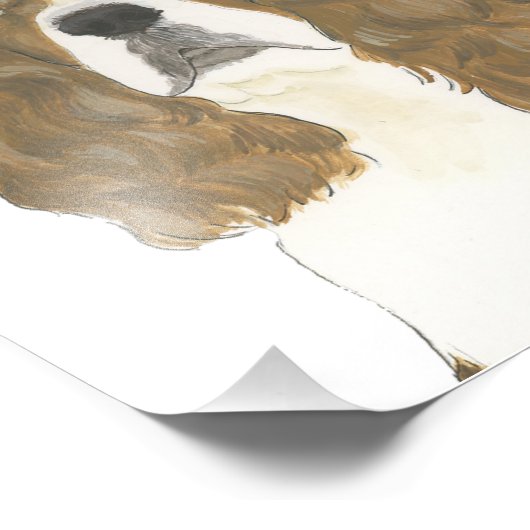 Rode & Witte Engelse Springer Spaniel Kunst Foto Afdruk (Hoek)