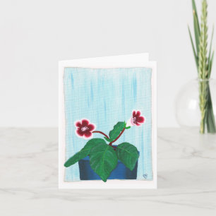 Rode Witte Gloxinia Afrikaanse Violette Bloem Note Kaart