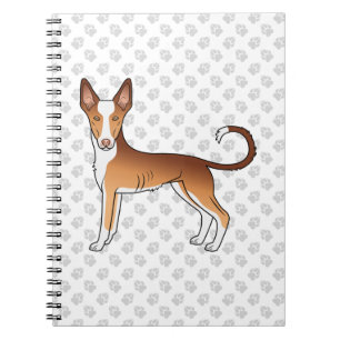 Rode & Witte Ibizan Hound Gladharige Hond En Poten Notitieboek
