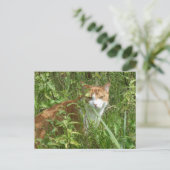 Rode witte kat met groene ogen DIY Briefkaart (Staand voorkant)