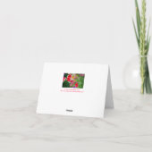 RODE & WITTE PETUNIA, "MIJN ANDER MAMMA " KAART (Achterkant)