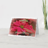 Rode & Witte Poinsettia Prettig Kerstfeest & Geluk Kaart (Voorkant)