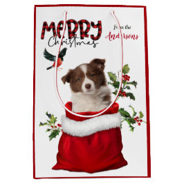 Rode witte rand Collie Puppy Dog Kerstmis Medium Cadeauzakje