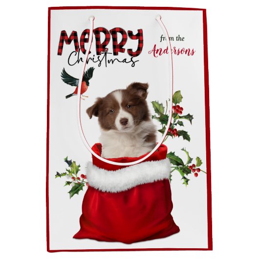Rode witte rand Collie Puppy Dog Kerstmis Medium Cadeauzakje (Voorkant)