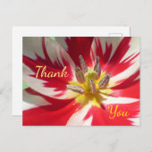 Rode Witte Tulp Close-up Bedankt Ansichtkaart Briefkaart (Voorkant / Achterkant)