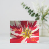 Rode witte tulp close-up dank u Briefkaart (Staand voorkant)