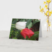 rode witte tulpenkaart kaart (Gele Bloem)