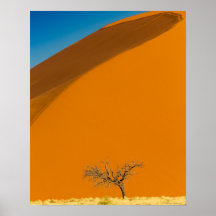 Rode woestijn van Namibië