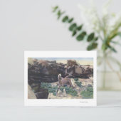 Rode woestijn, WY - Wild Palomino Stallion gevange Briefkaart (Staand voorkant)