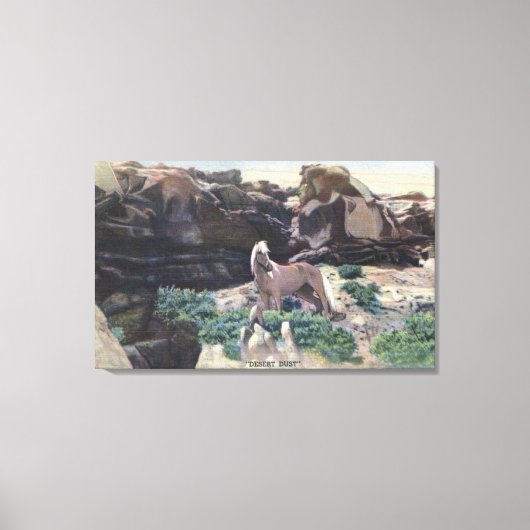 Rode woestijn, WY - Wild Palomino Stallion gevange Canvas Afdruk (Voorkant)