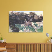 Rode woestijn, WY - Wild Palomino Stallion gevange Canvas Afdruk (Insitu (Woonkamer))