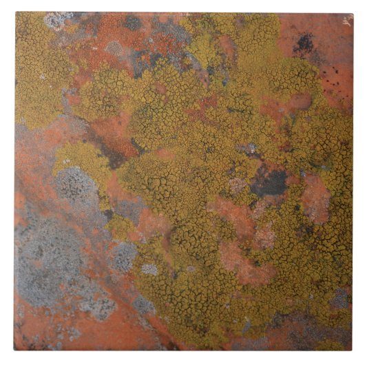 rode woestijnsteen liefhebbers tegeltje (Voorkant)