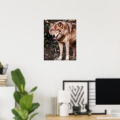 Rode Wolf Houten Huis Stijl Moderne Foto Poster (Thuiskantoor)