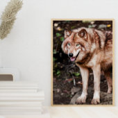 Rode Wolf Houten Huis Stijl Moderne Foto Poster