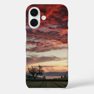 Rode Wolken Sunset Tree Groene velden iPhone 16 Hoesje