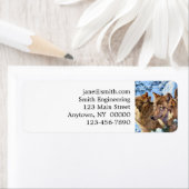 Rode wolven schilderen etiket (Insitu)