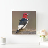 Rode Woodpecker op hek Vierkante Klok (Huis)