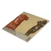 Rode zandsteen, mannetje en grijze zandsteen danse tegeltje (Zijkant)