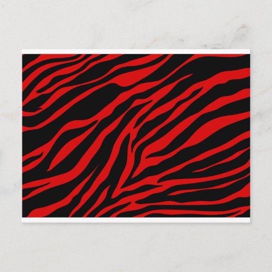 rode zebra briefkaart (Voorkant)