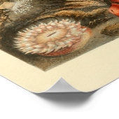 Rode Zee Anemone Colour Marine Art Print (Hoek)