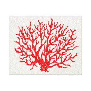 Rode Zee koraal muur kunst Canvas Afdruk