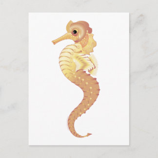 Rode Zee Stallion Briefkaart