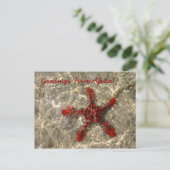 Rode Zee ster - Briefkaart (Staand voorkant)