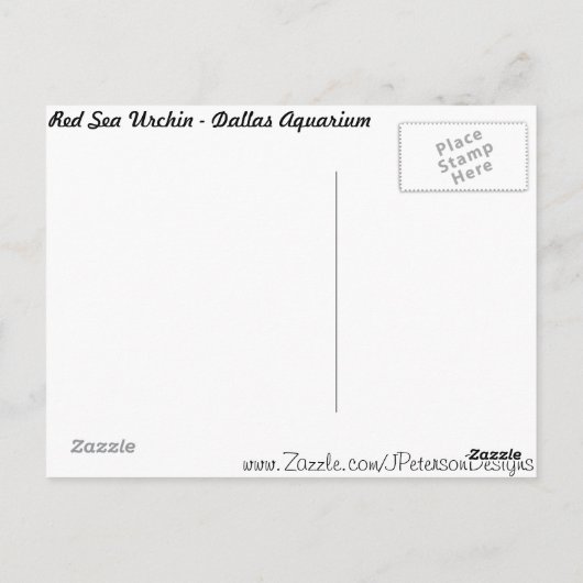 Rode Zee Urchin Briefkaart (Achterkant)