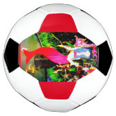 rode zeemeermin voetbal (Gedraaid)
