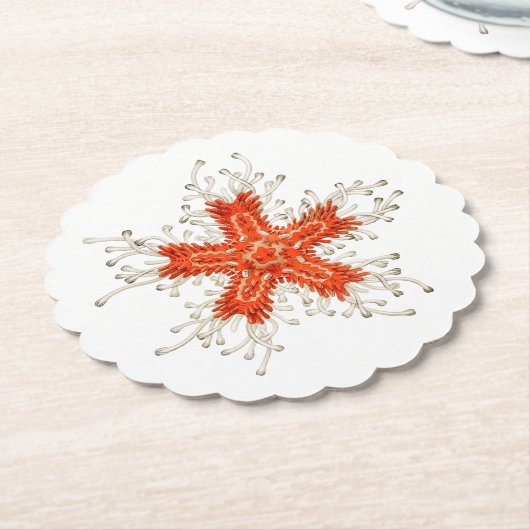 Rode zeester kartonnen onderzetters (Gekanteld)