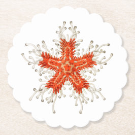 Rode zeester kartonnen onderzetters