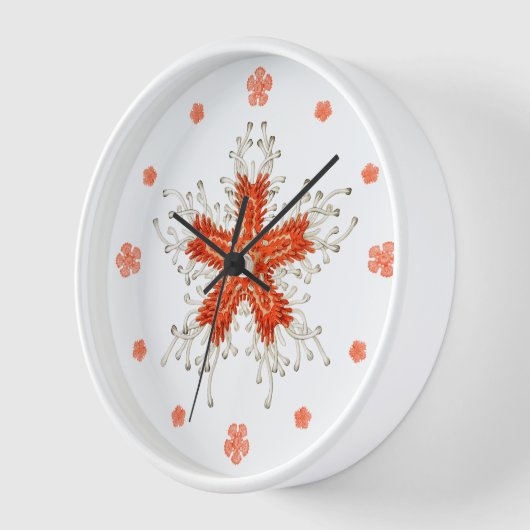 Rode  zeester wandklok (Hoek)