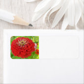 Rode Zinnia-adresetiketten Etiket (Insitu)